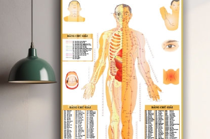 Tranh tráng gương huyệt vị châm cứu trong đông y