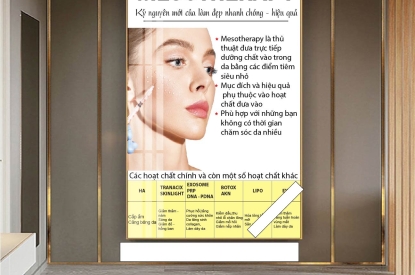 Khung tranh tráng gương - Tranh filler, Mesotherapy, Botox, .... cho spa, thẩm mỹ viện trên toàn quốc