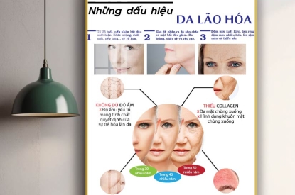 🌸 Tranh Tráng Gương Về Các Vấn Đề Da – Trang Trí Spa & Thẩm Mỹ Viện Chuyên Nghiệp