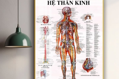 🧠 KHUNG TRANH NHẬN BIẾT TOÀN BỘ HUYỆT & HỆ THẦN KINH TRÊN CƠ THỂ