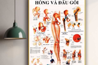 KHUNG TRANH TRÁNG GƯƠNG HUYỆT HÔNG VÀ ĐẦU GỐI -TÁC ĐỘNG SÂU-GIẢM ĐAU HIỆU QUẢ