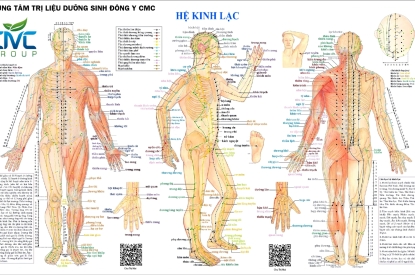 KHUNG TRANH TRÁNG GƯƠNG HỆ KINH LẠC -TRỊ LIỆU DƯỠNG SINH ĐÔNG Y