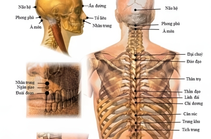 KHUNG TRANH TRÁNG GƯƠNG HUYỆT ĐẠO -GIÚP NHẬN BIẾT CÁC HUYỆT TRÊN CƠ THỂ DỄ DÀNG HƠN