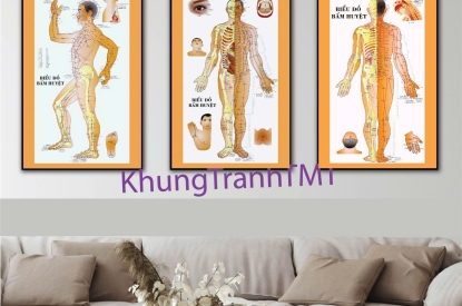 KHUNG TRANH TRÁNG GƯƠNG VỀ CÁC HUYỆT ĐẠO TRÊN CƠ THỂ CỦA CON NGƯỜI - KHUNG TRANH SPA TRÁNG GƯƠNG CAO CẤP