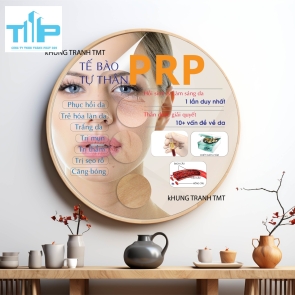 Khung tranh tráng gương - Tranh tròn - Tế bào tự thân PRP