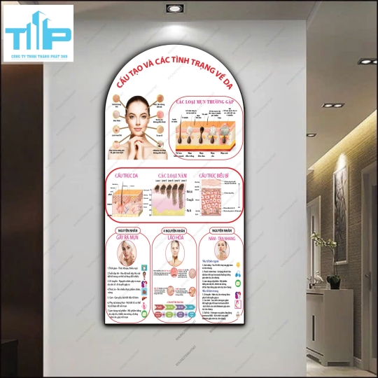 Cấu trúc da, dấu hiệu da lão hóa - Tranh vòm trang gương sáng bóng