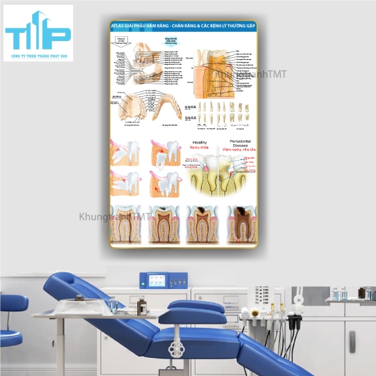 Tranh Tráng Gương Nha Khoa Hiện Đại – Nâng Tầm Không Gian Phòng Khám Chuyên Nghiệp