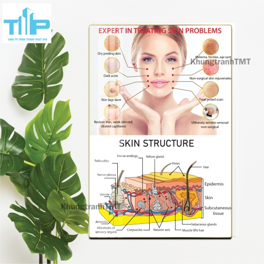 Tranh tráng gương filler - meso bản tiếng anh dành cho spa, thẩm mỹ viện