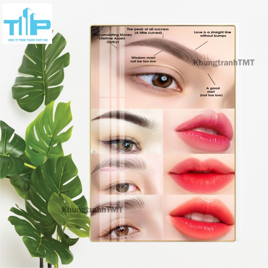 Tranh tráng gương filler - meso bản tiếng anh dành cho spa, thẩm mỹ viện
