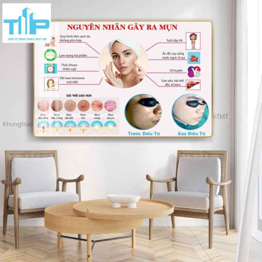 khung tranh tráng gương trang trí cho spa thẩm mỹ viện về cấc vấn đề da