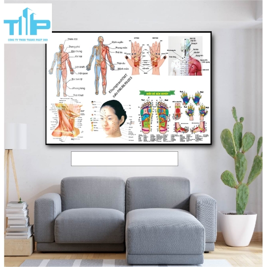 Tranh tráng gương huyệt đạo châm cứu 
