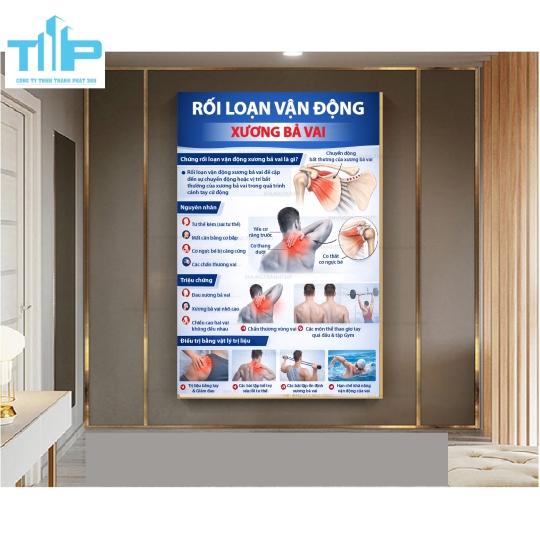 Khung tranh các bệnh về cơ xương khớp thường gặp P2