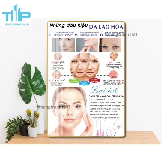 khung tranh thẩm mỹ sang trọng dành cho spa thẩm mỹ viện 