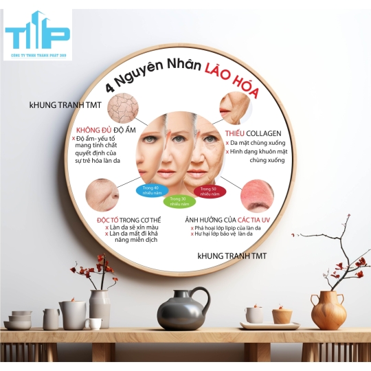 Tranh tròn các nguyên nhân gây ra lão hóa, mụn, nám, tàn nhang, - tranh tráng gương reo tường bền đẹp
