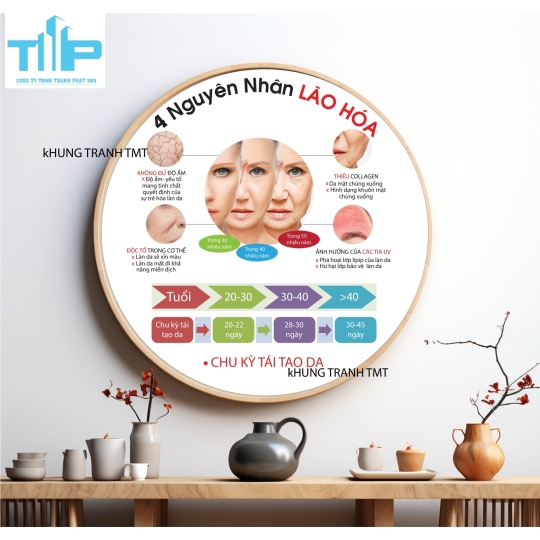 Tranh tròn các nguyên nhân gây ra lão hóa, mụn, nám, tàn nhang, - tranh tráng gương reo tường bền đẹp