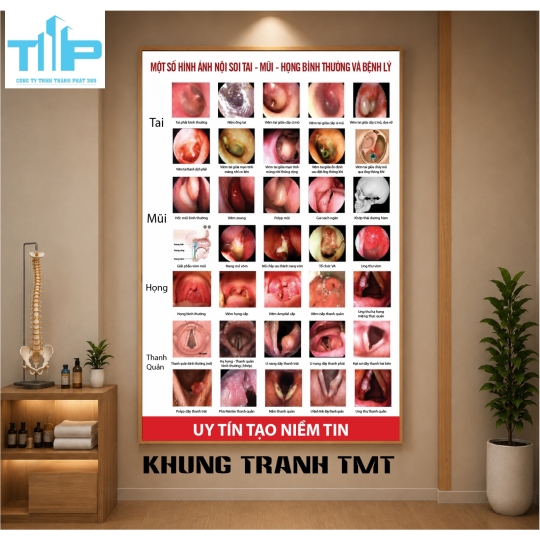 TRANH TRÁNG GƯƠNG Y KHOA – GIẢI PHÁP TRANG TRÍ VÀ TƯ VẤN SỨC KHỎE CHUYÊN NGHIỆP