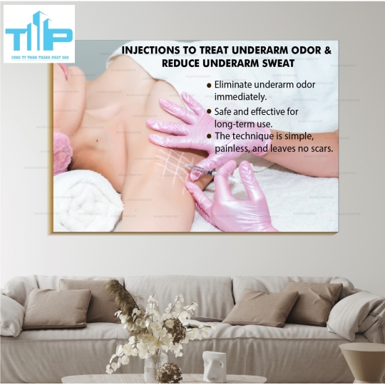 Tranh tráng gương filler - meso bản tiếng anh dành cho spa, thẩm mỹ viện