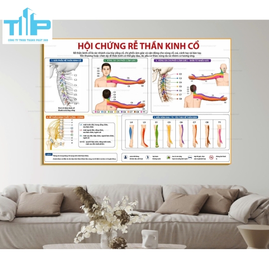 Tranh các huyệt đạo, những bệnh lý thường gặp ở cột sống cổ, lưng, ....