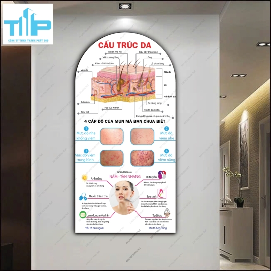 Cấu trúc da, dấu hiệu da lão hóa - Tranh vòm trang gương sáng bóng