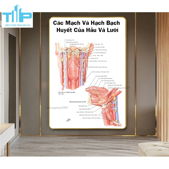 Khung tranh huyệt đạo hỗ trợ bấm huyệt