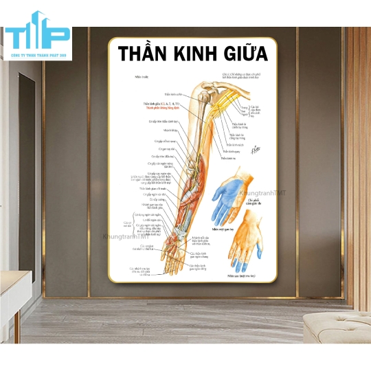 Tranh huyệt đạo tráng gương chuyên điều trị bấm huyệt đau cổ vai gáy