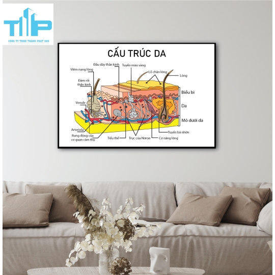khung tranh  chăm sóc điều trị tráng gương trang trí spa thẩm mỹ viện