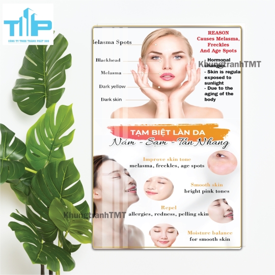 Tranh tráng gương filler - meso bản tiếng anh dành cho spa, thẩm mỹ viện