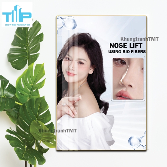 Tranh tráng gương filler - meso bản tiếng anh dành cho spa, thẩm mỹ viện