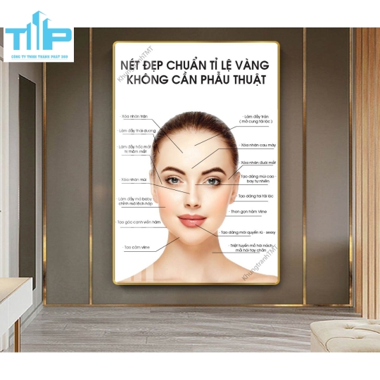Khung tranh tráng gương chuyên điều trị các vấn đề về da