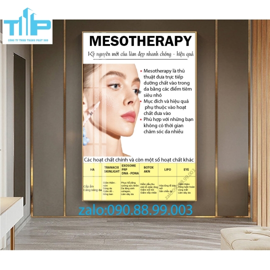 Tranh tráng gương filler - meso