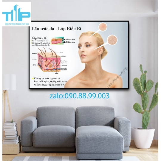 Tranh tráng gương filler - meso