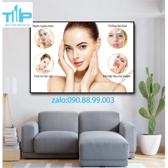 Tranh tráng gương filler - meso